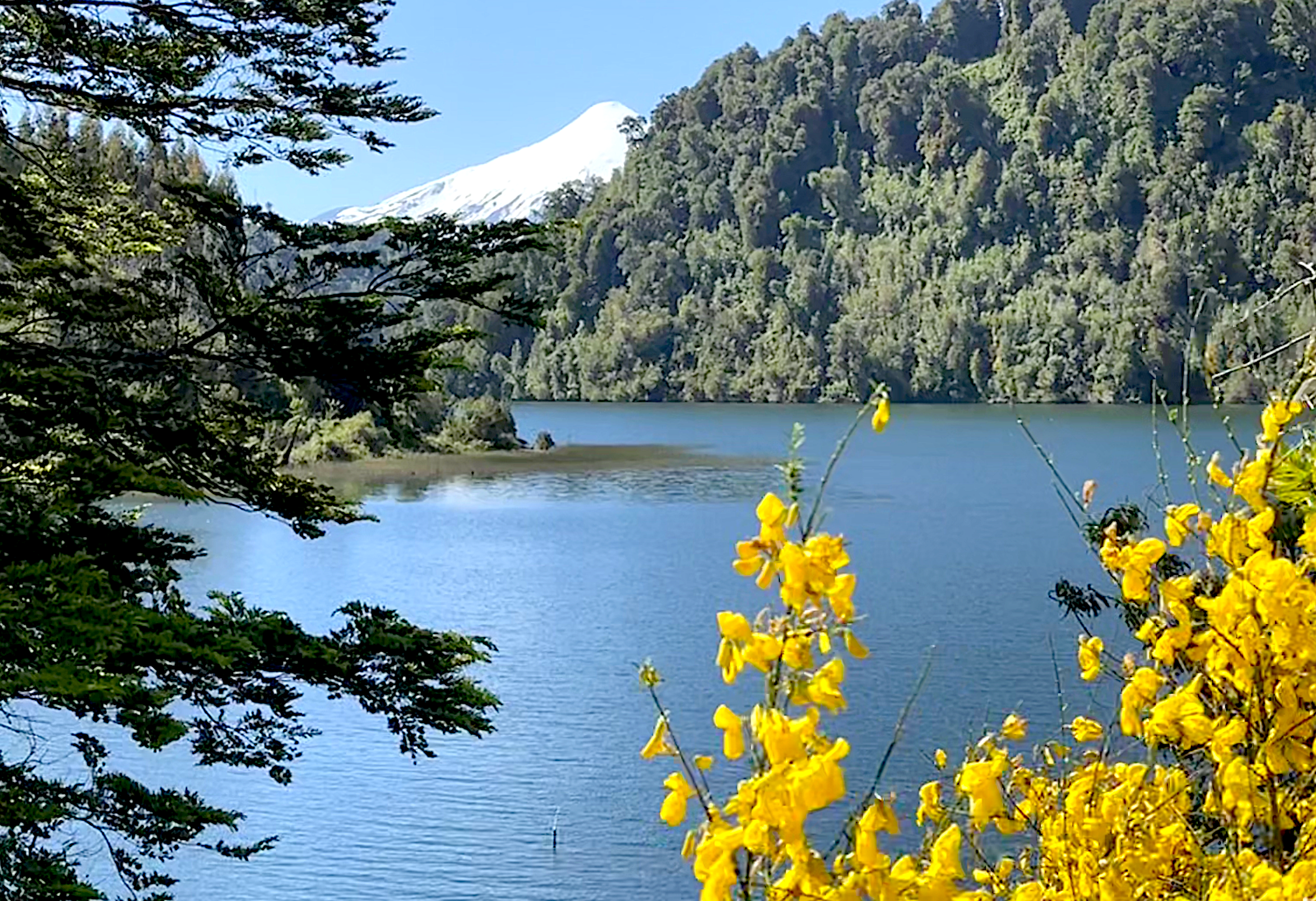 Coaching Sessions With Gian Before Awakening